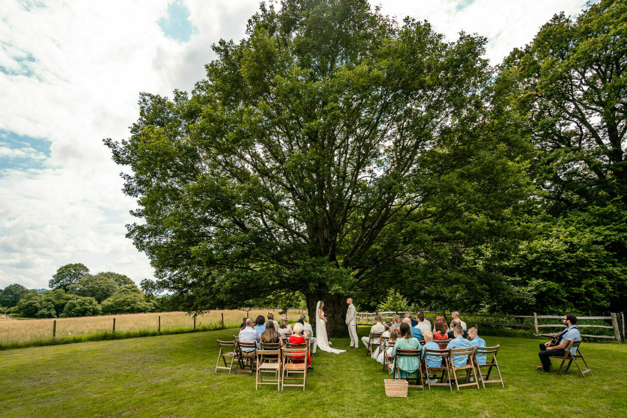 Oak tree wedding ceremony