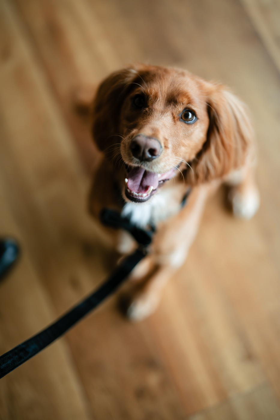 Bredenbury Court Barns - Liam and Lucy 23 Landl 1024
